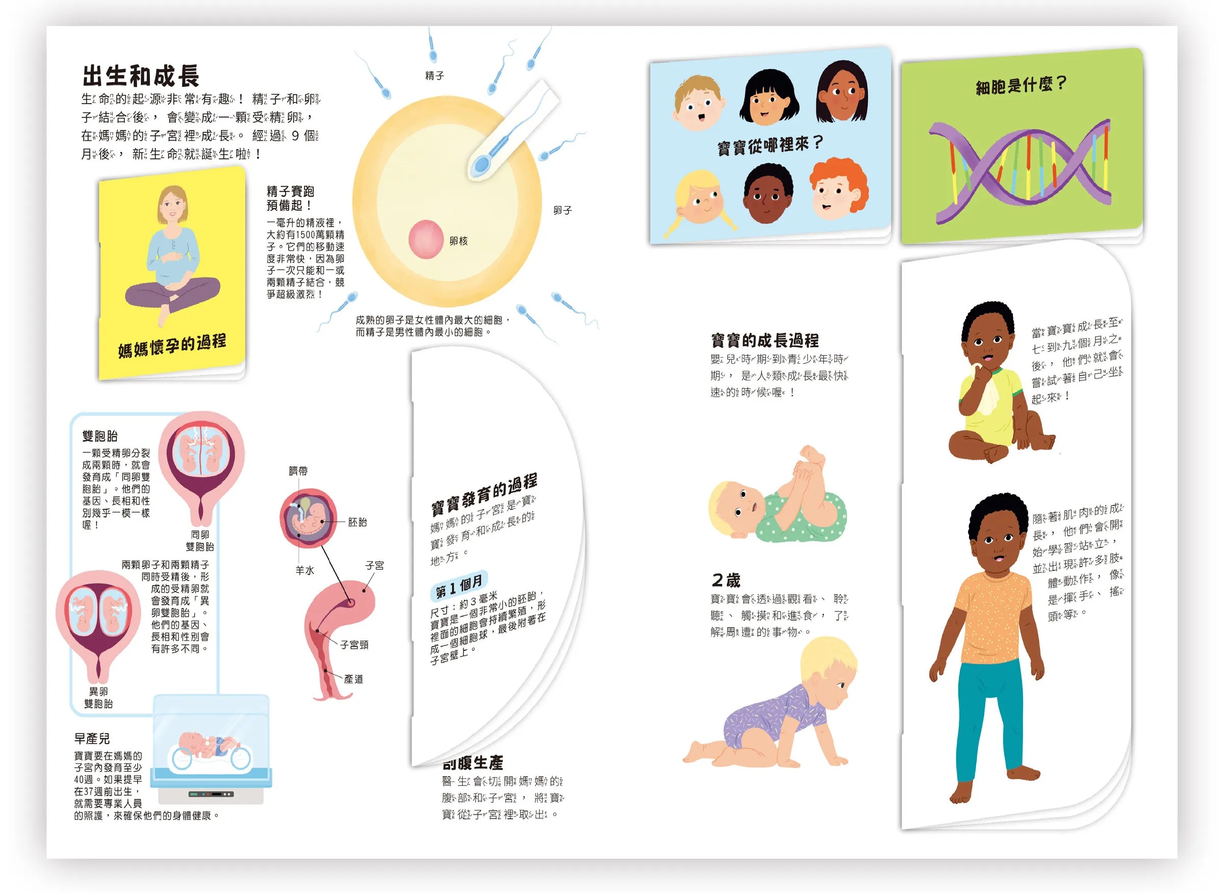 小小知識家動手大發現-人體 AMAZING! 小小知識家動手大發現-人體 AMAZING!